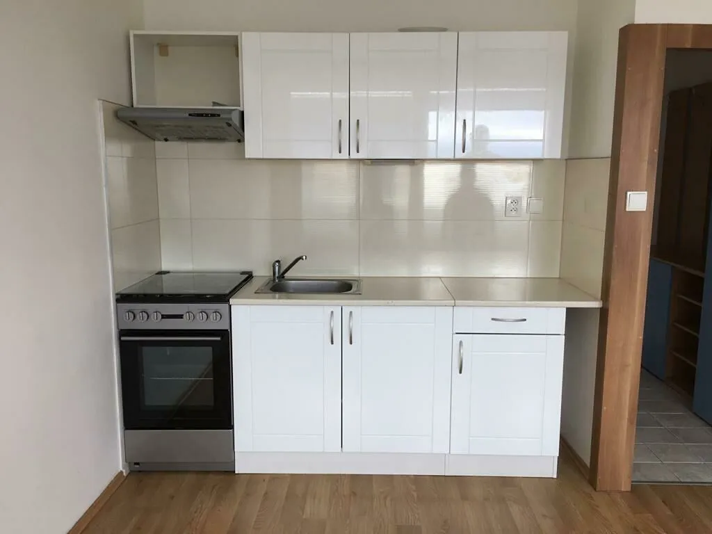 Pronájem bytu 1+1 41 m²